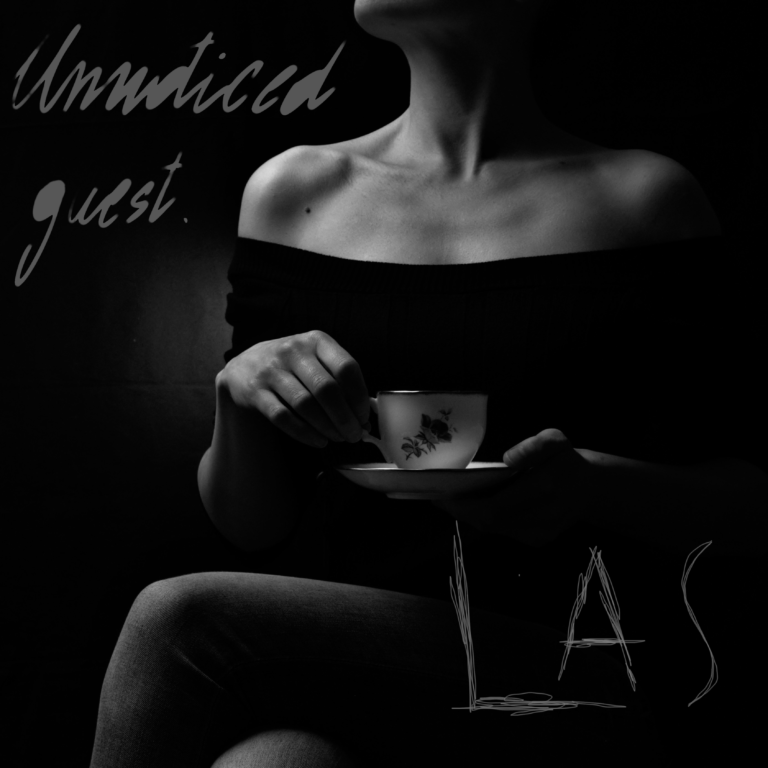 Unnoticed Guest - Las
