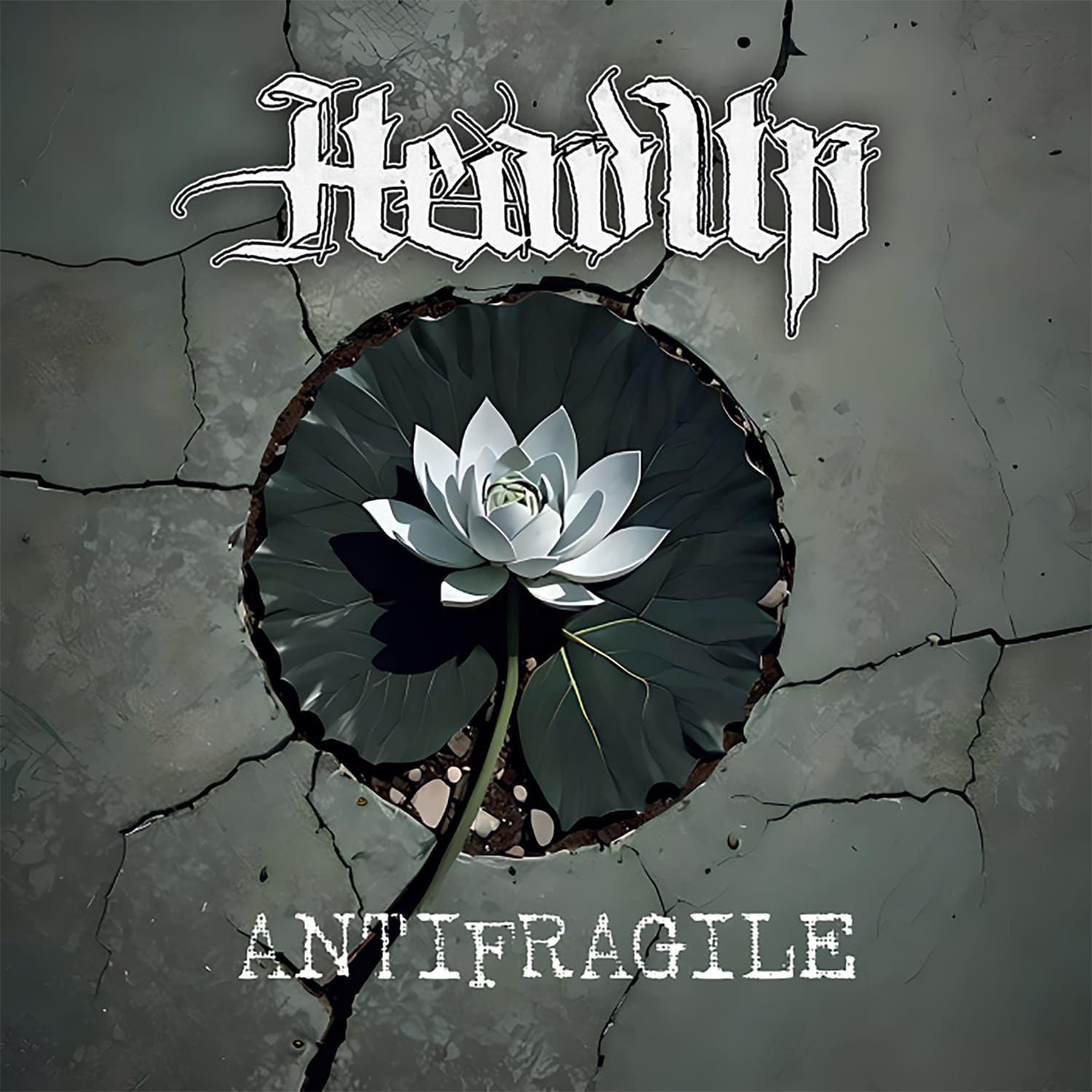 HEADUP - Antifragile