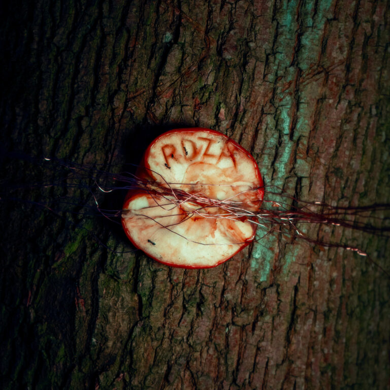 Okładka utworu