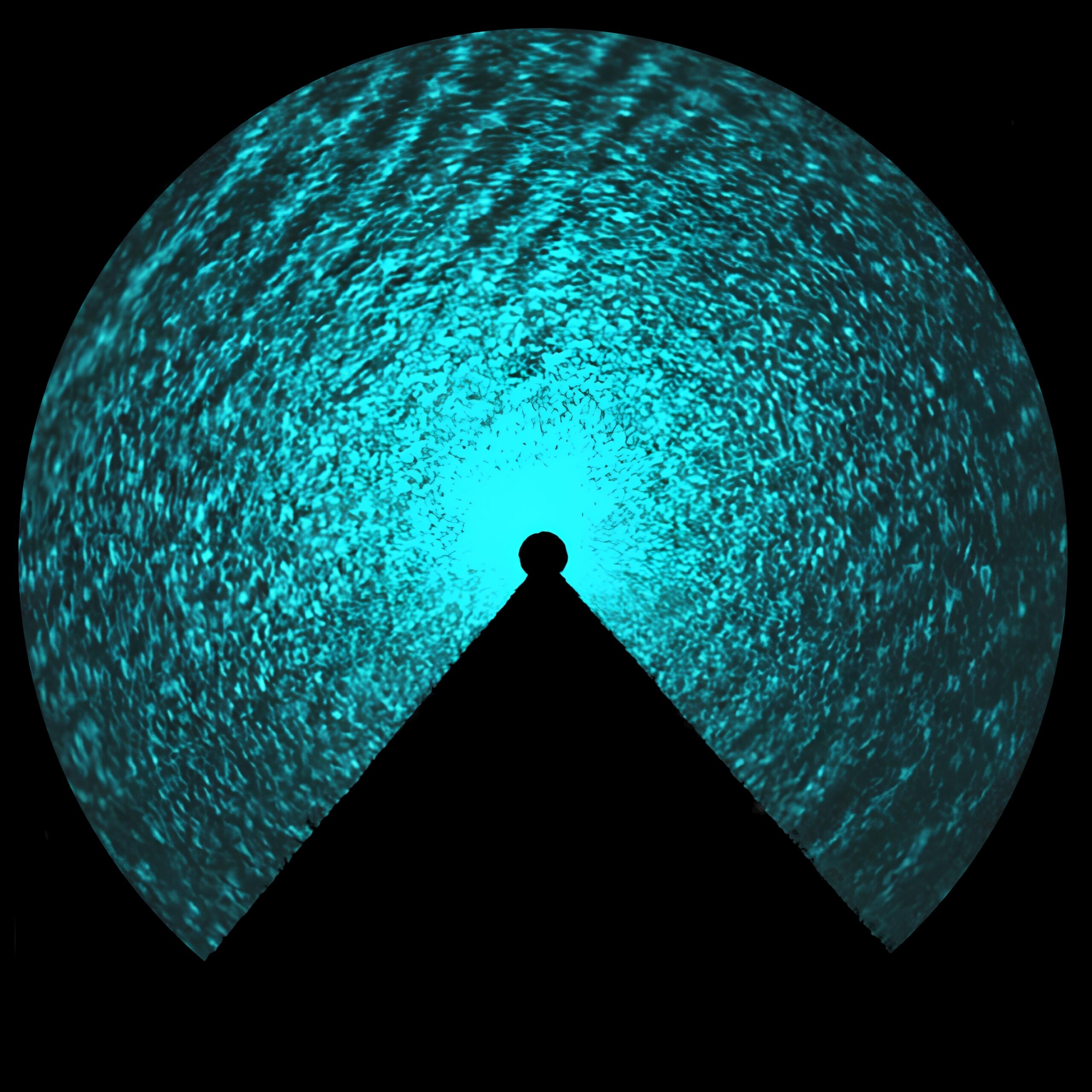 Extensa – Echomora