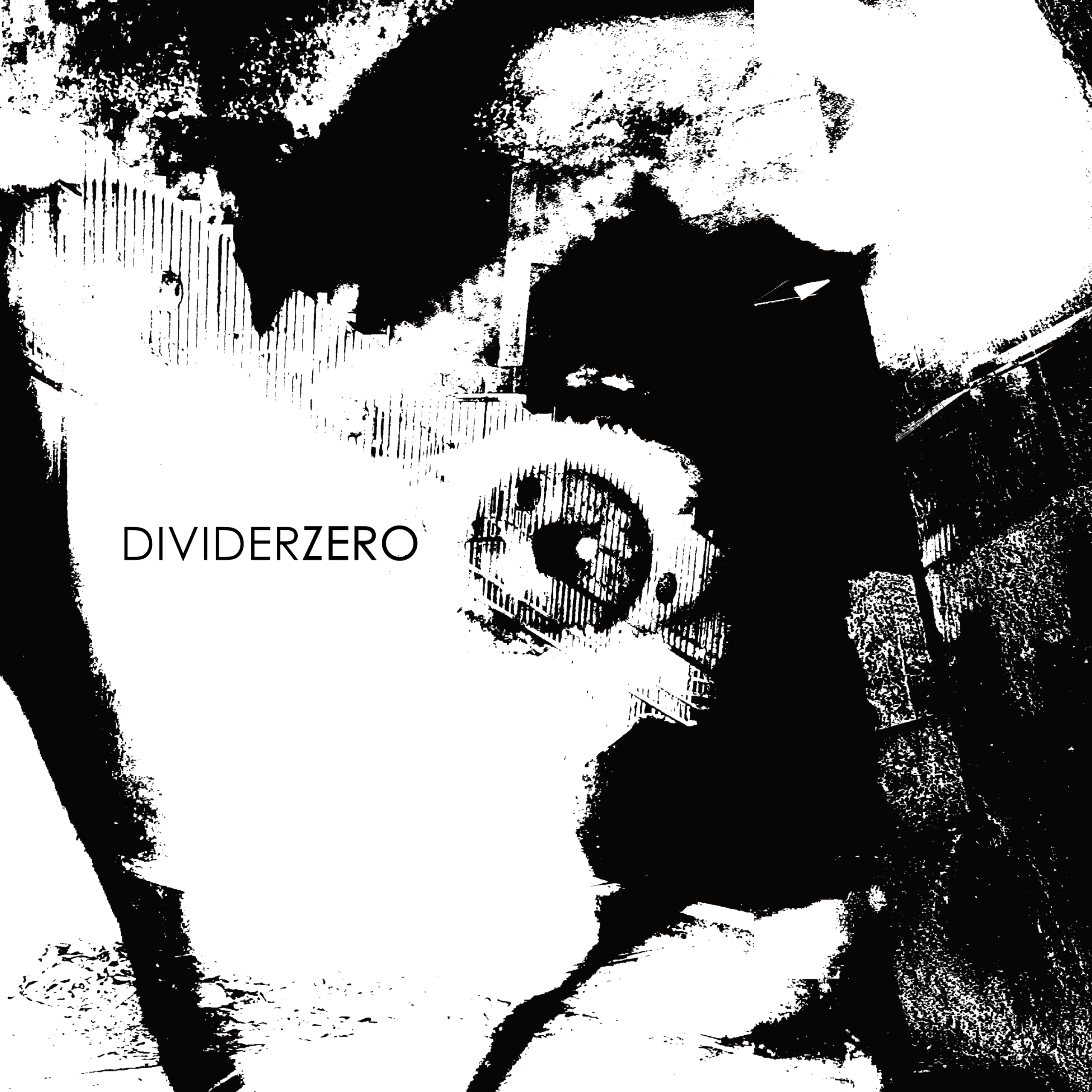 Divider