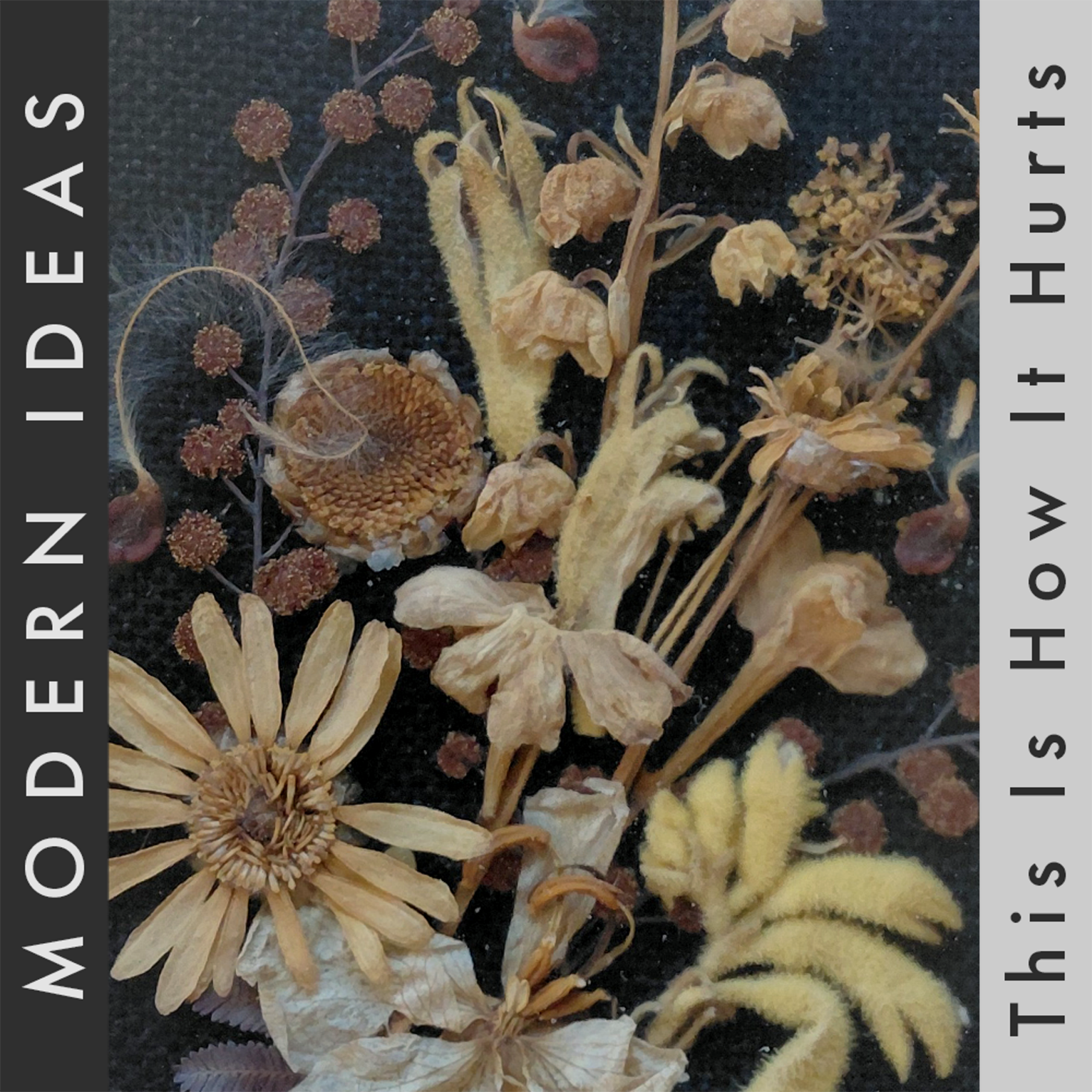 Modern Ideas